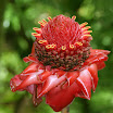 IMG_6007_size.jpg