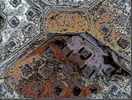 chwilog cover1