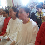 Novenário - São Francisco de Assis