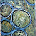 some details of paintings from mfa show 1997