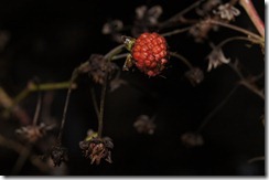 DSC00144 DSC00144