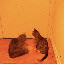 cats_chance_2010-05-22_04.JPG
