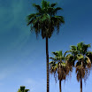 huntington beach, hollywood, road trip, vegas, wedding 079.JPG