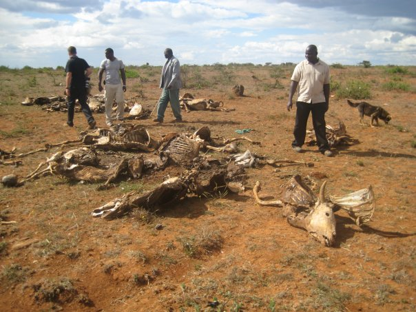 Kenya officials walk among dead cattle that were killed by drought, May 2011. Samburu Watch