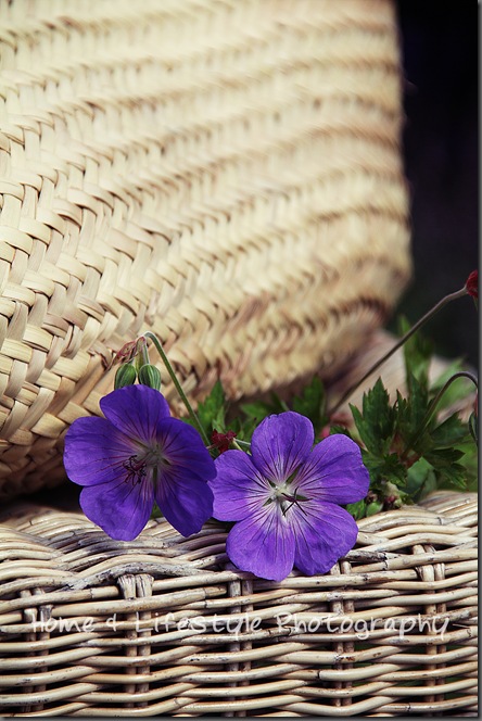 Home & Lifestyle Home & Lifestyle