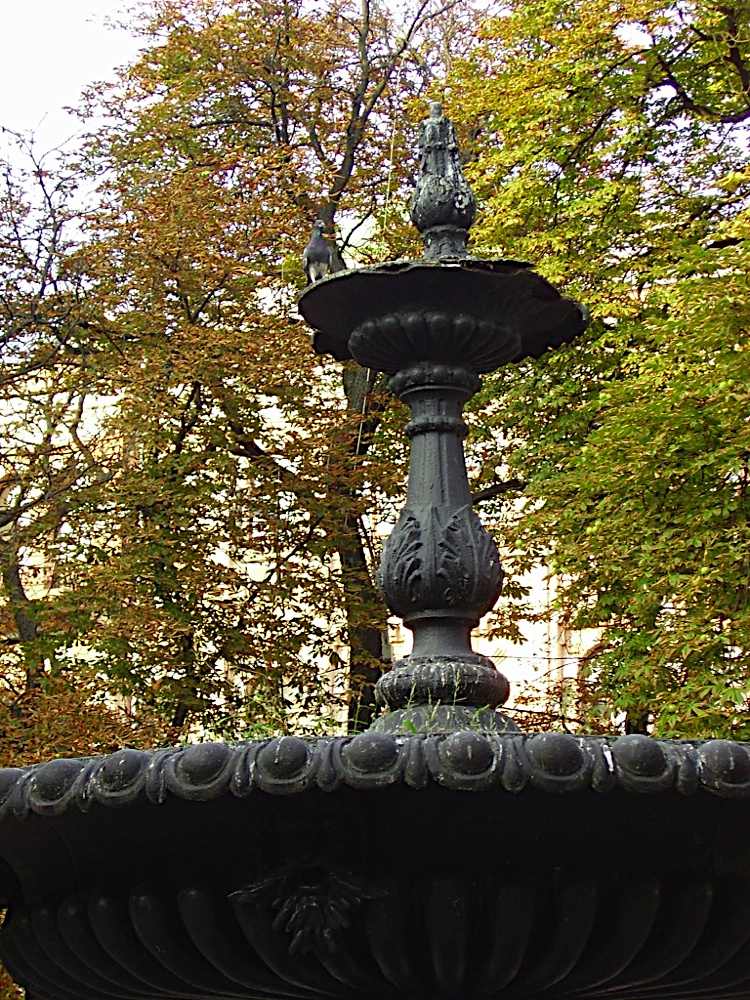 P8070106.JPG