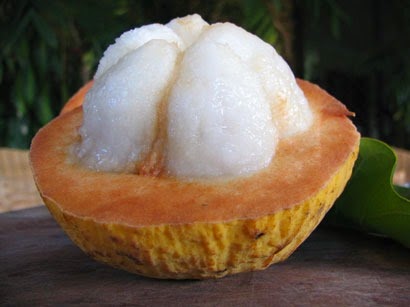 [Santol%25201%255B3%255D.jpg]