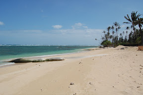 DSC_1064.JPG