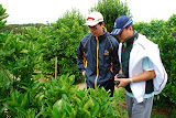 Meet the growers behind local produce