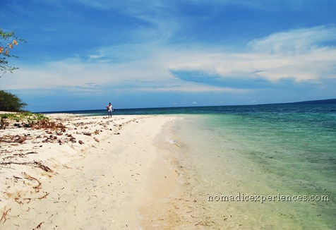 DSC_1795 DSC_1795