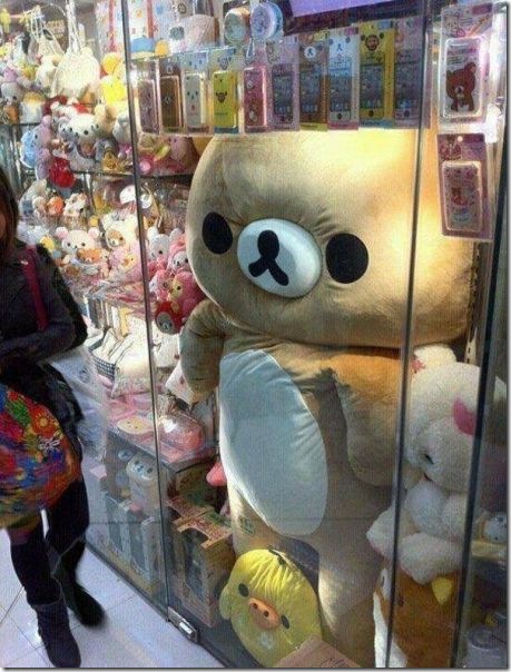 viral-picdump-pics-29