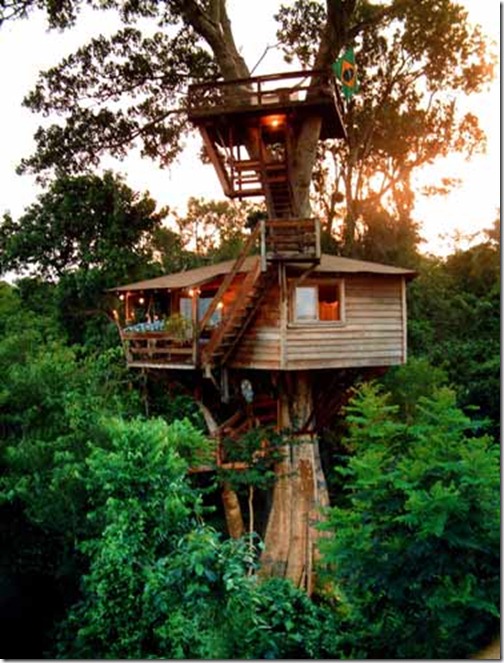 casa-na-arvore[1]
