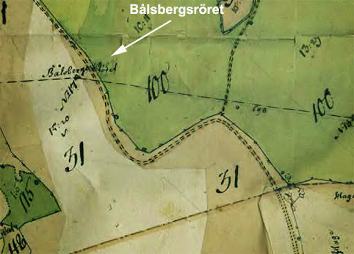 balsbargsroret-1715.jpg
