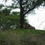 Florida08 118.jpg