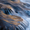 _MG_39771.jpg