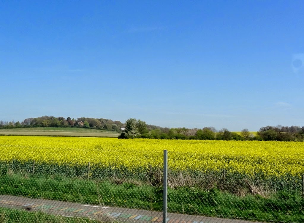 [DSC04821%2520%25281300x952%2529%255B4%255D.jpg]