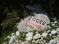 Onward to Fanes