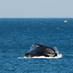 19 Oct 2008_7888_edited-1.jpg