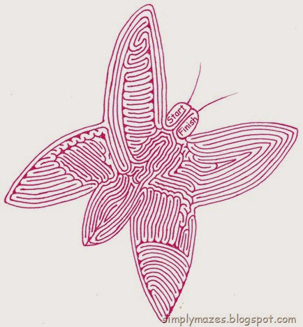 Maze #47: Flutter Maze #47: Flutter