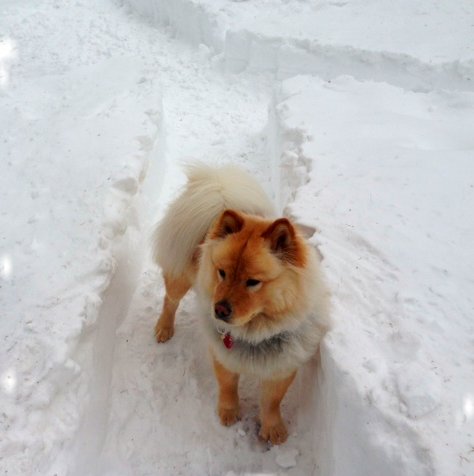 “...I hear the sounds of melting snow outside my window every night and with the first faint scent of spring, I remember life exists...” ― John Geddes “...I hear the sounds of melting snow outside my window every night and with the first faint scent of spring, I remember life exists...” ― John Geddes