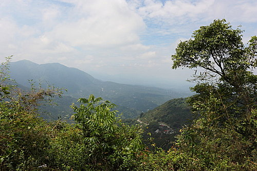 Zi Zi
