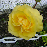 DSC02095.JPG