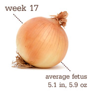 [week173.png]