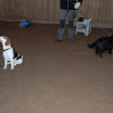 jan-feb 2010 105.JPG