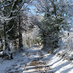 2011-12-20 (14).jpg