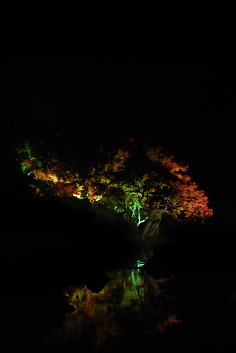 DSC_0411.JPG