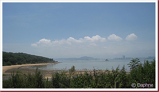 IMG_3731 IMG_3731