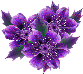 purple_flowers-32681