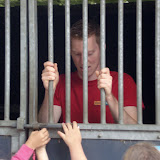 Album weergeven