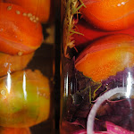 Gemüse_eingelegtes_0062.JPG