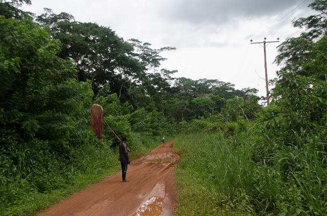 Sur la piste menant à Ebogo (Cameroun), 21 avril 2013. Photo : C. Basset