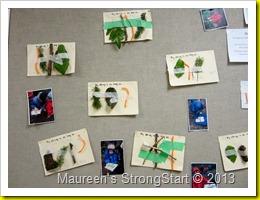 IMG_2865 (2) IMG_2865 (2)