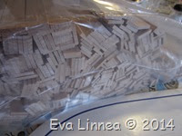 IMG_8741 IMG_8741