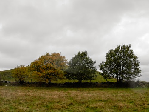 _DSC0504bb _DSC0504bb