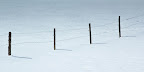 schneezaun schneezaun
