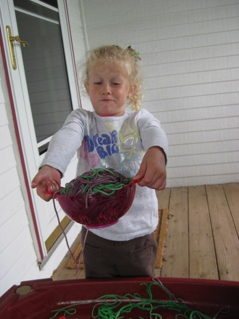 [IMG_0009%255B3%255D.jpg]