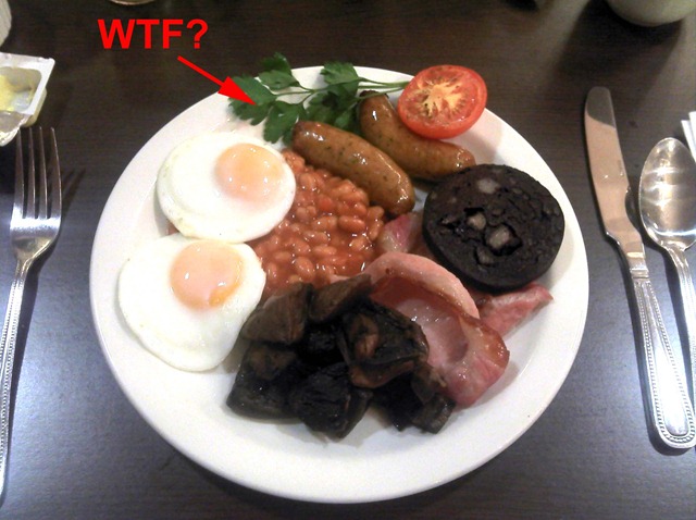 [breakfast6.jpg]