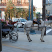 hokkaido_743.jpg