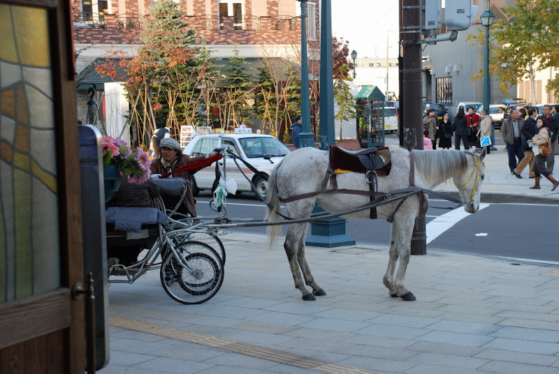 hokkaido_743.jpg