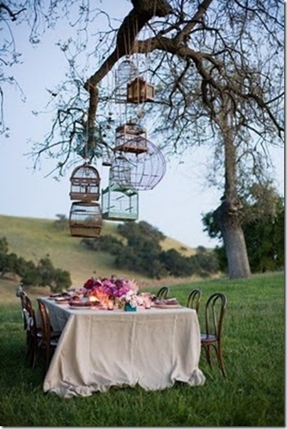 bird cage picnic_large bird cage picnic_large