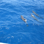 IMG_0029.JPG