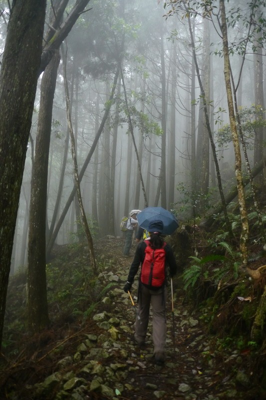 2013_0413 橫嶺山木馬古道_016