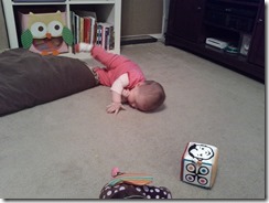 IMG_20130221_190335 IMG_20130221_190335