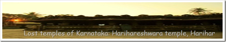 Lost temples of Karnataka: Harihareshwara temple, Harihar
