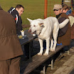 DSC04190.JPG