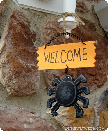 welcome-spider